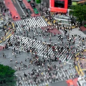 Paso diagonal de Shibuya, Japón Paso diagonal de Shibuya, Japón