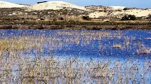 Fondet de la Senieta Fondet de la Senieta