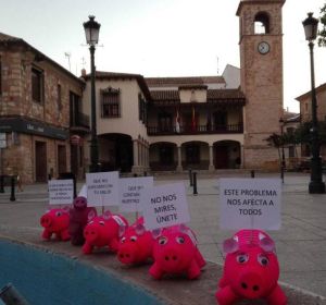 protesta cerditos mota del cuervo protesta cerditos mota del cuervo