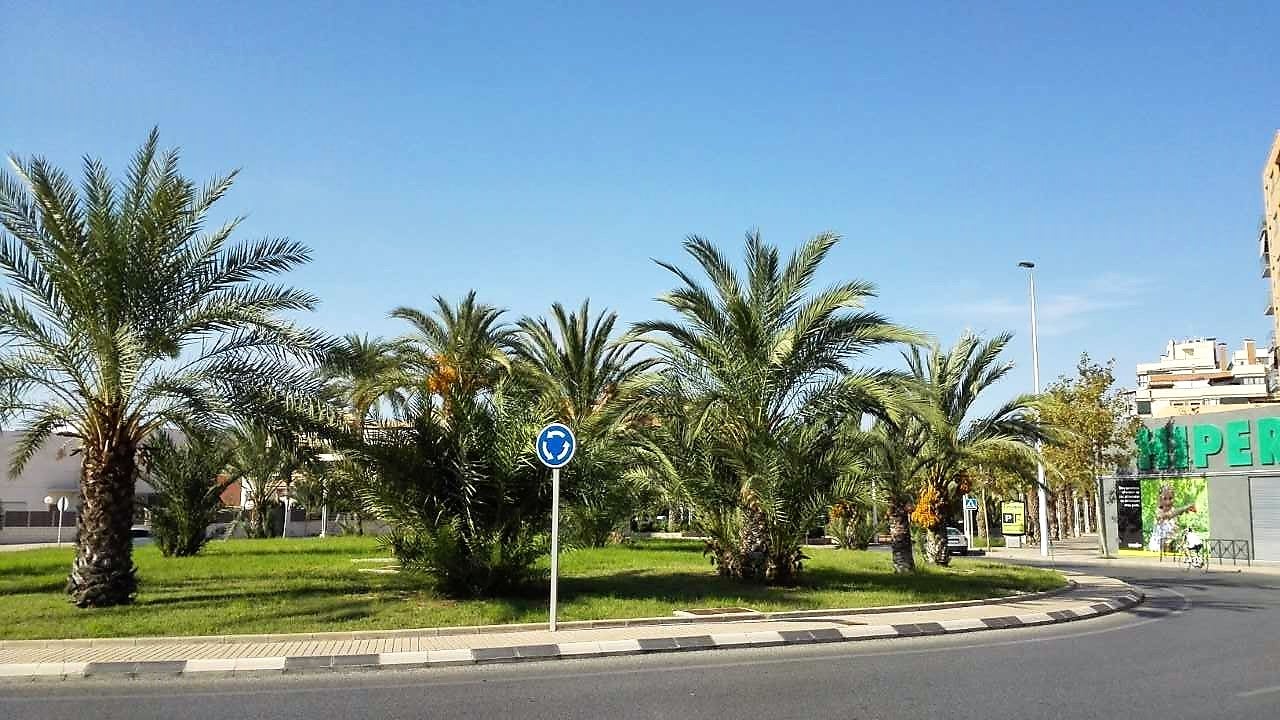 El verano se despide, llega el otoño a Elche, Crevillent y Santa Pola El verano se despide, llega el otoño a Elche, Crevillent y Santa Pola