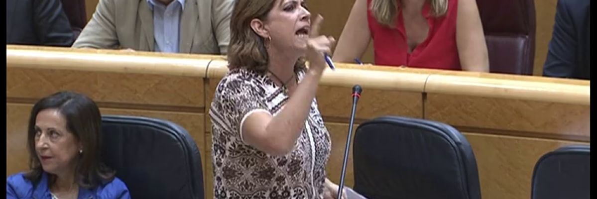 Delgado afronta la sesión en el Senado entre los gritos de "dimisión" de la bancada del PP Delgado afronta la sesión en el Senado entre los gritos de "dimisión" de la bancada del PP