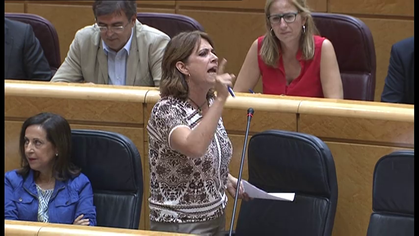 Dolores Delgado, reprobada por el Senado con la mayoría absoluta del PP Dolores Delgado, reprobada por el Senado con la mayoría absoluta del PP