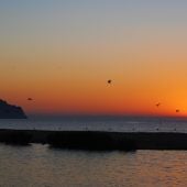 Vicente Serrat Conejero, Altea