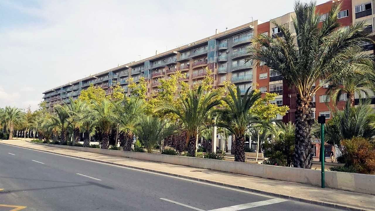 Elche, Crevillent y Santa Pola esperan nubes y claros y viento por la tarde Elche, Crevillent y Santa Pola esperan nubes y claros y viento por la tarde