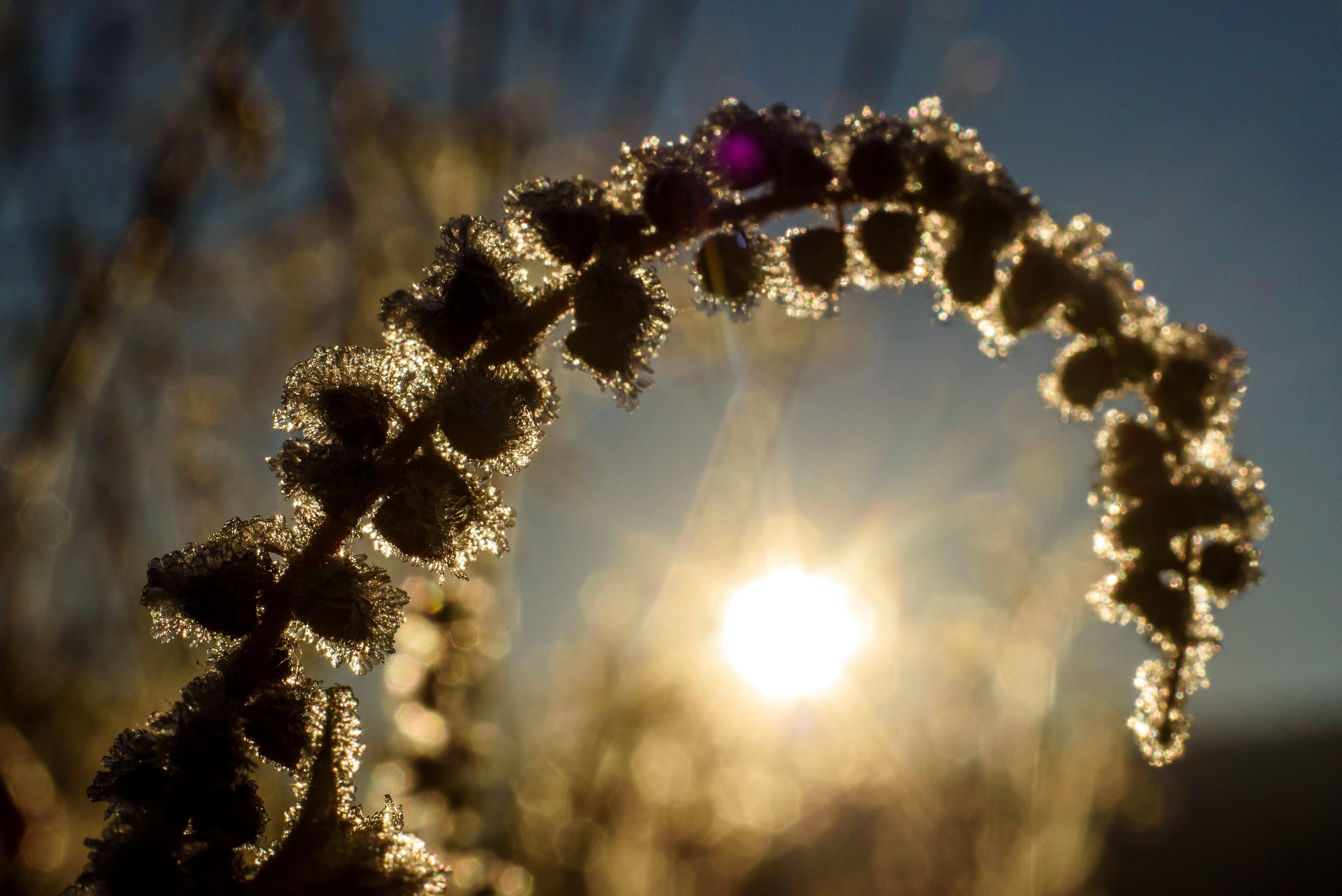 Castelló registra unas 210 horas menos de sol, más lluvias y más fresco que París o Berlín este marzo Castelló registra unas 210 horas menos de sol, más lluvias y más fresco que París o Berlín este marzo