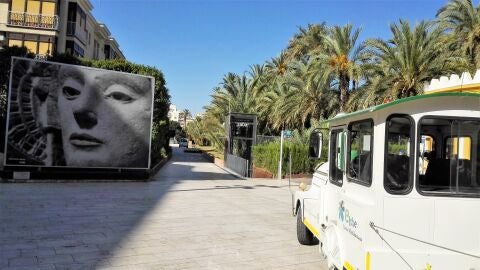 Elche