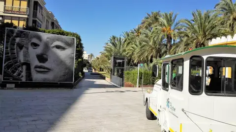 Elche Elche