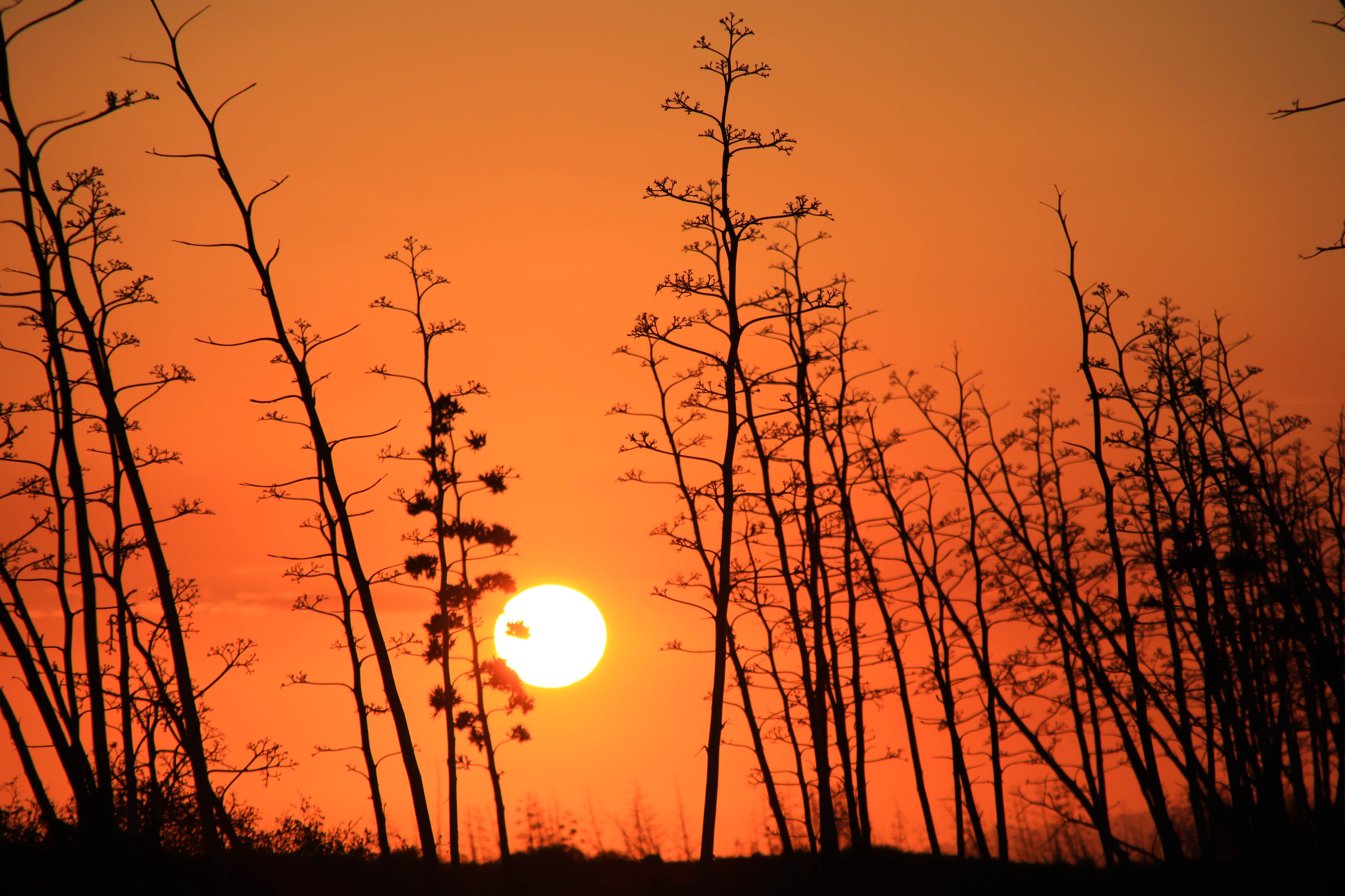 El Parque Natural Cabo de Gata-Níjar revalida su declaración como Geoparque Mundial de la UNESCO El Parque Natural Cabo de Gata-Níjar revalida su declaración como Geoparque Mundial de la UNESCO