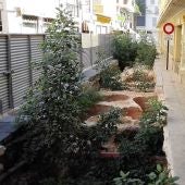 Vegetación en las excavaciones arqueológicas del entorno del Mercado Central de Elche.