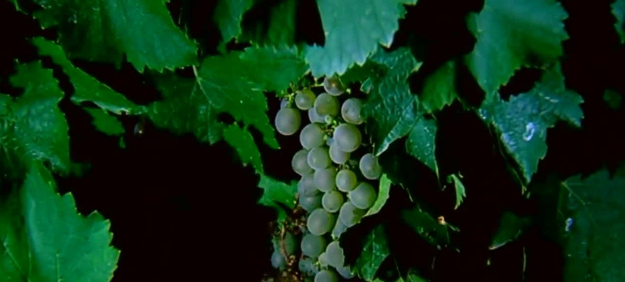 La Brújula de La Rioja Gastronomía 09/09/2020 La Brújula de La Rioja Gastronomía 09/09/2020