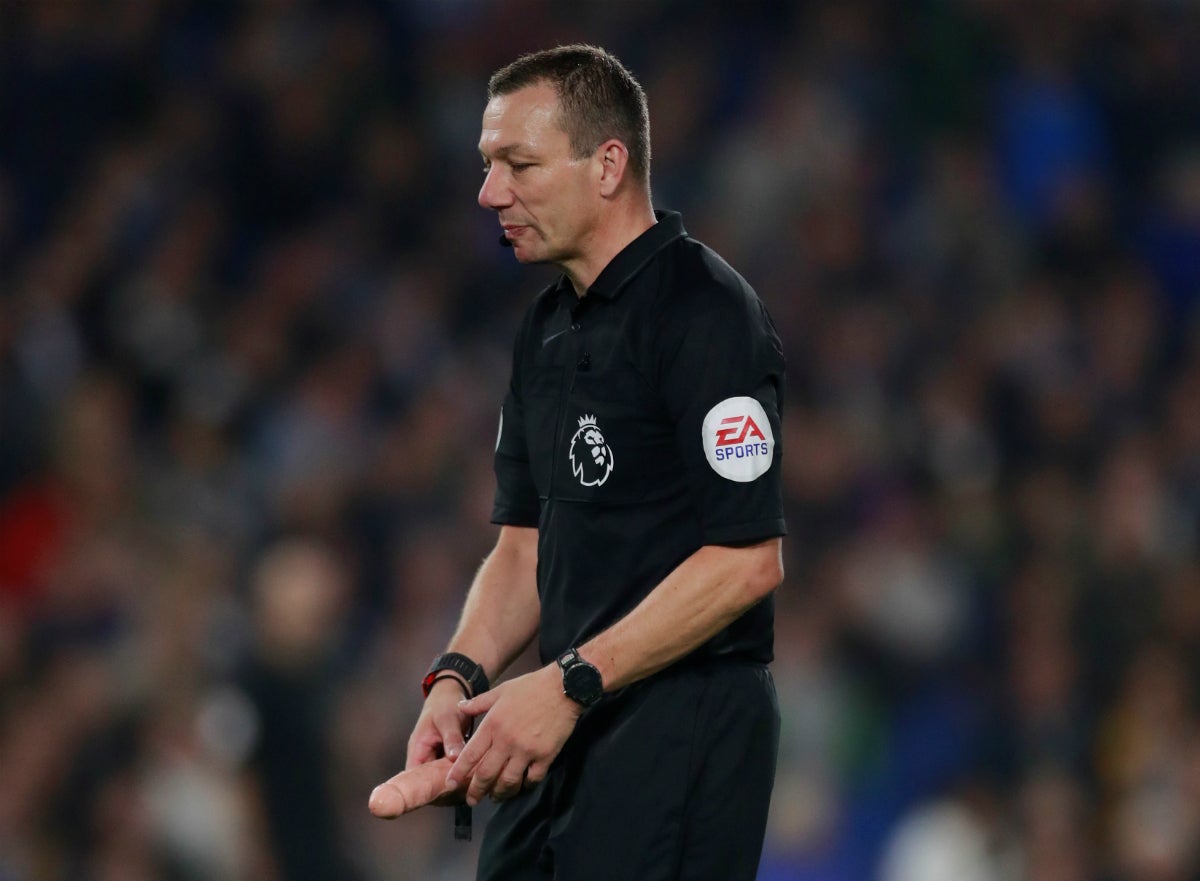Un pene de plástico obliga a interrumpir el partido entre el Brighton y el West Ham de Pellegrini Un pene de plástico obliga a interrumpir el partido entre el Brighton y el West Ham de Pellegrini