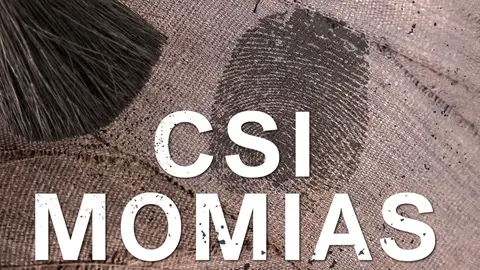 CSI Momias CSI Momias