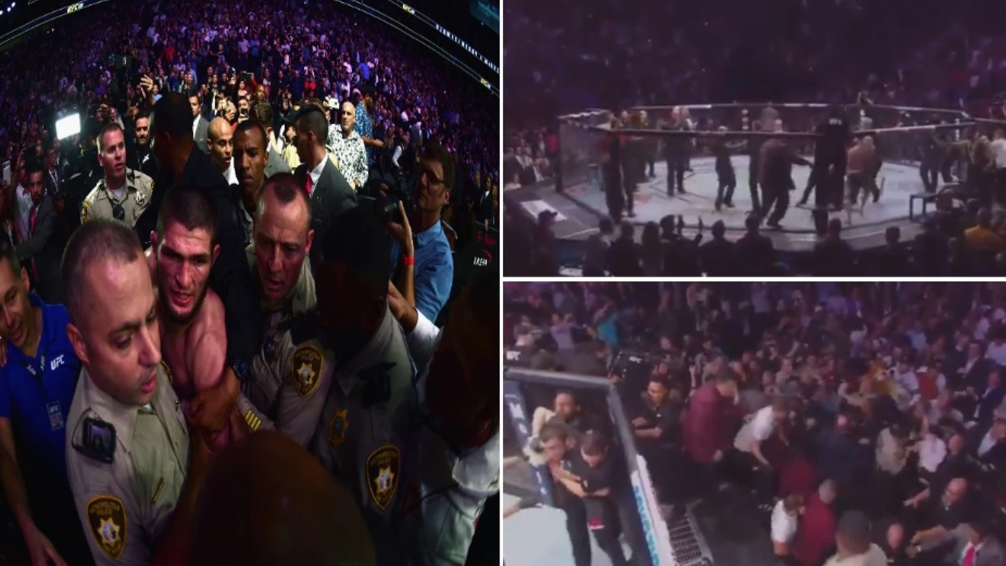 La tangana tras el Khabib vs McGregor La tangana tras el Khabib vs McGregor