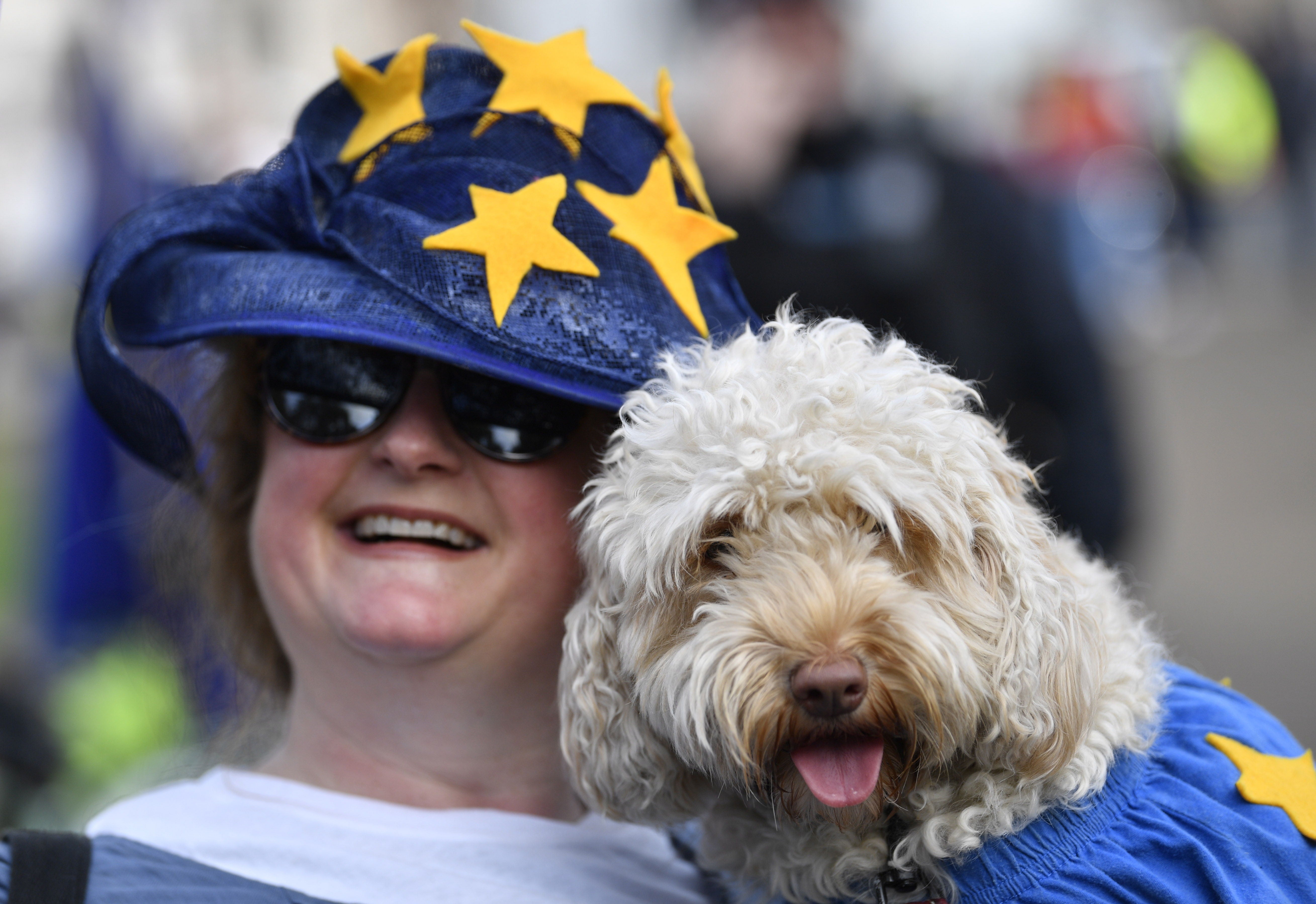 La ciencia lo confirma, el cerebro de los perros y los humanos se sincroniza. La ciencia lo confirma, el cerebro de los perros y los humanos se sincroniza.