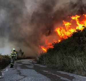 Un incendio forestal está activo en el municipio pontevedrés de Mondariz Un incendio forestal está activo en el municipio pontevedrés de Mondariz
