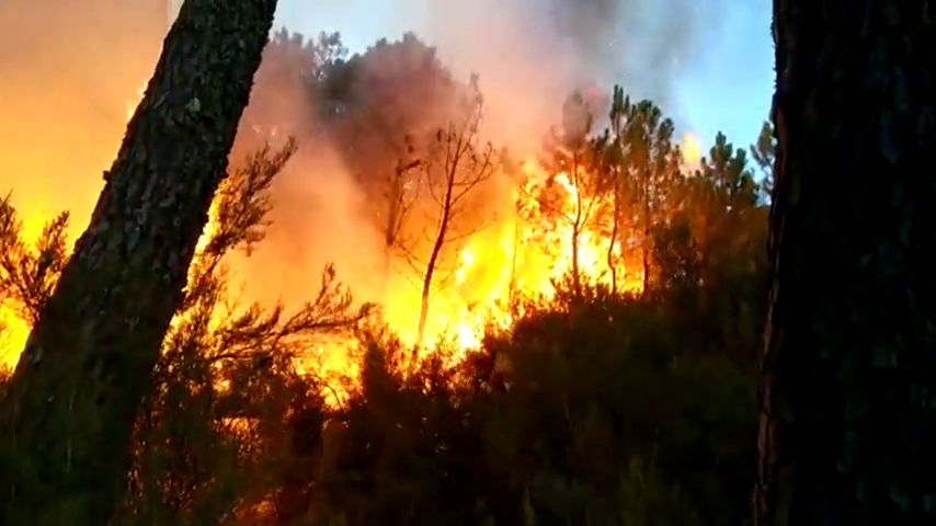 El Infoex interviene en 21 incendios forestales durante la última semana, quedando afectadas 29 hectáreas El Infoex interviene en 21 incendios forestales durante la última semana, quedando afectadas 29 hectáreas