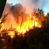 ESTABILIZADO EL INCENDIO EN LAS HURDES ESTABILIZADO EL INCENDIO EN LAS HURDES