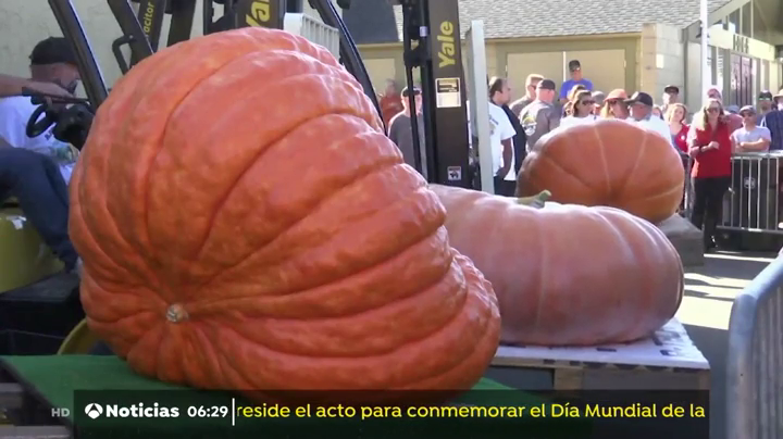 La calabaza: ligera y nutritiva La calabaza: ligera y nutritiva