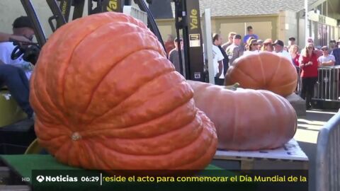 Una calabaza de mil kilos gana un popular concurso en California