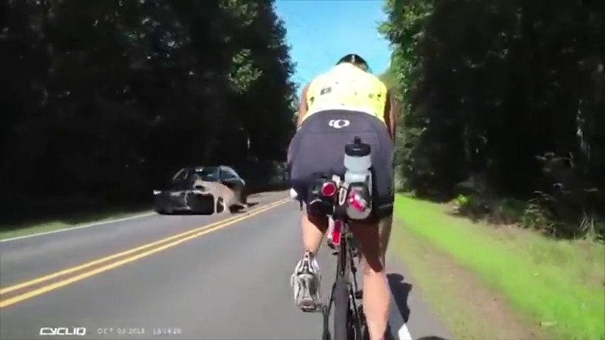 Unos ciclistas graban el momento en el que un coche atropella a un ciervo en Carolina del Norte Unos ciclistas graban el momento en el que un coche atropella a un ciervo en Carolina del Norte