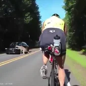 Unos ciclistas graban el momento en el que un coche atropella a un ciervo en Carolina del Norte Unos ciclistas graban el momento en el que un coche atropella a un ciervo en Carolina del Norte