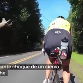 Unos ciclistas graban el brutal choque de un ciervo con un coche en plena carretera Unos ciclistas graban el brutal choque de un ciervo con un coche en plena carretera