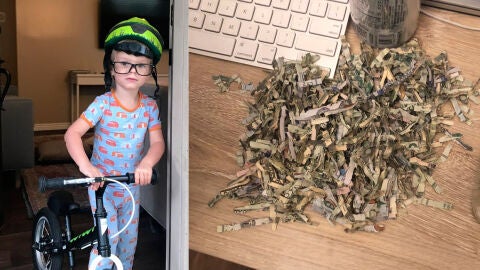 Un ni&ntilde;o de dos a&ntilde;os tritura 1.060 d&oacute;lares que sus padres ten&iacute;an ahorrados