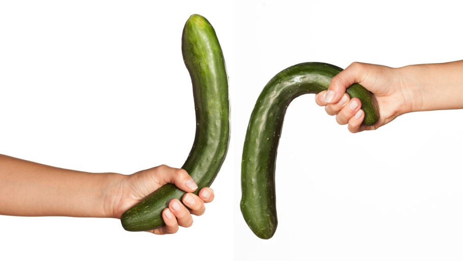 Erecci&oacute;n