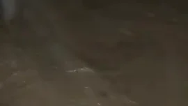 Efectos de la riada que arras&oacute; Mallorca