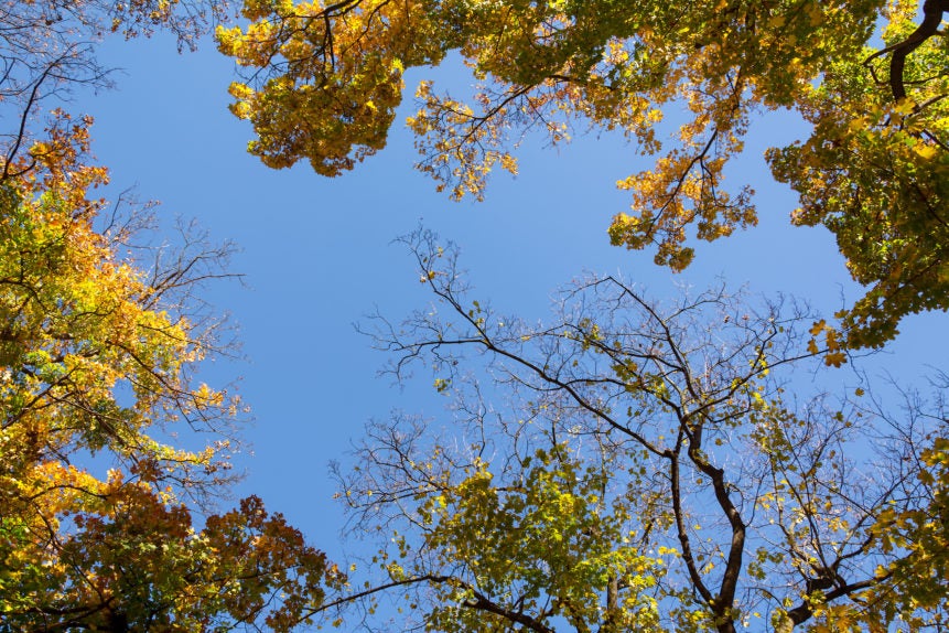 Extremadura registra un otoño muy cálido con cifras normales de precipitaciones Extremadura registra un otoño muy cálido con cifras normales de precipitaciones