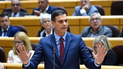 El presidente del Gobierno, Pedro Sánchez, en una sesión de control El presidente del Gobierno, Pedro Sánchez, en una sesión de control