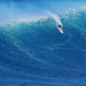 Surf