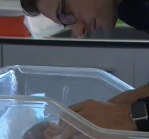 La devolución del IRPF de maternidad y paternidad La devolución del IRPF de maternidad y paternidad
