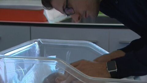 La devoluci&oacute;n del IRPF de maternidad y paternidad