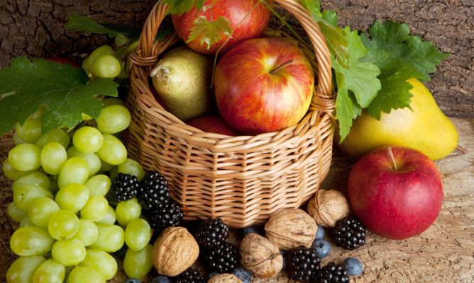 Más de 2.000 productores de frutales y frutos de cáscara de Extremadura percibirán una ayuda extra de 1,8 millones Más de 2.000 productores de frutales y frutos de cáscara de Extremadura percibirán una ayuda extra de 1,8 millones