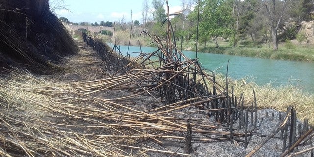 El Consorcio del Riu Millares presentará su guía oficial de aves el próximo 29 de febrero El Consorcio del Riu Millares presentará su guía oficial de aves el próximo 29 de febrero