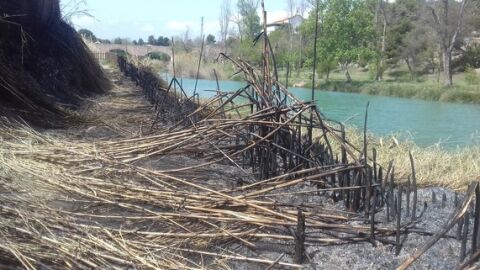 El temporal de pluges torrencials ha trencat la barrera de cudols que el separava de la Mediterr&agrave;nia en el terme municipal de Burriana. 