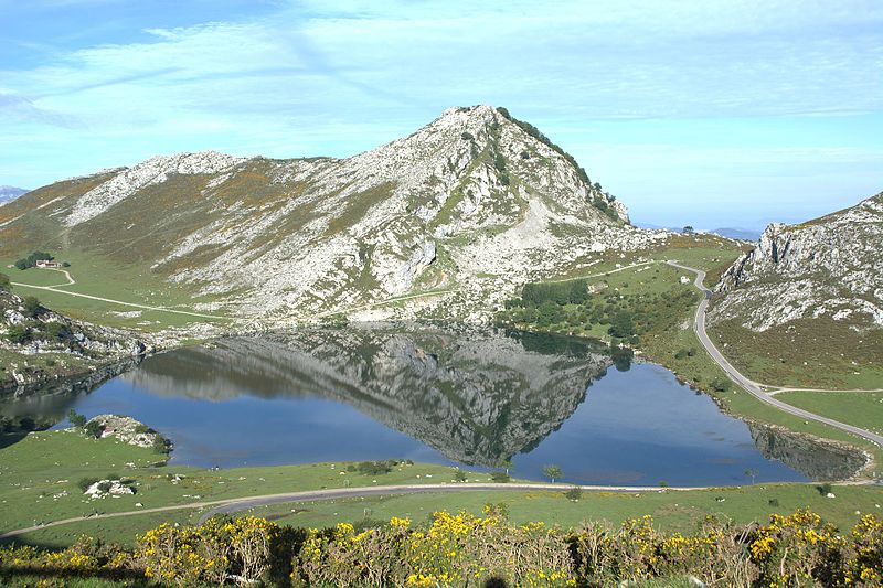 Stranger Things: ¿Un animal marino desconocido en los Lagos de Covadonga? Stranger Things: ¿Un animal marino desconocido en los Lagos de Covadonga?