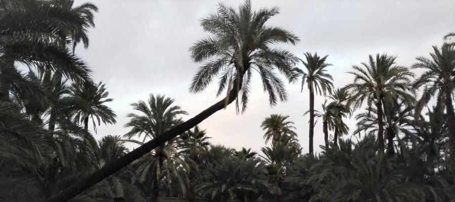 el tiempo santa pola