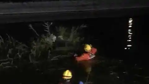 Bomberos de Elche rescatan a tres perros en una balsa de riego Bomberos de Elche rescatan a tres perros en una balsa de riego