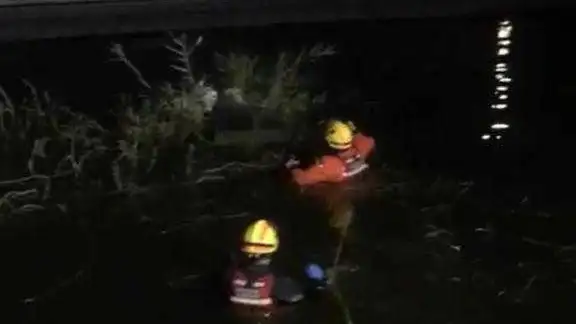 Bomberos de Elche rescatan a tres perros en una balsa de riego Bomberos de Elche rescatan a tres perros en una balsa de riego