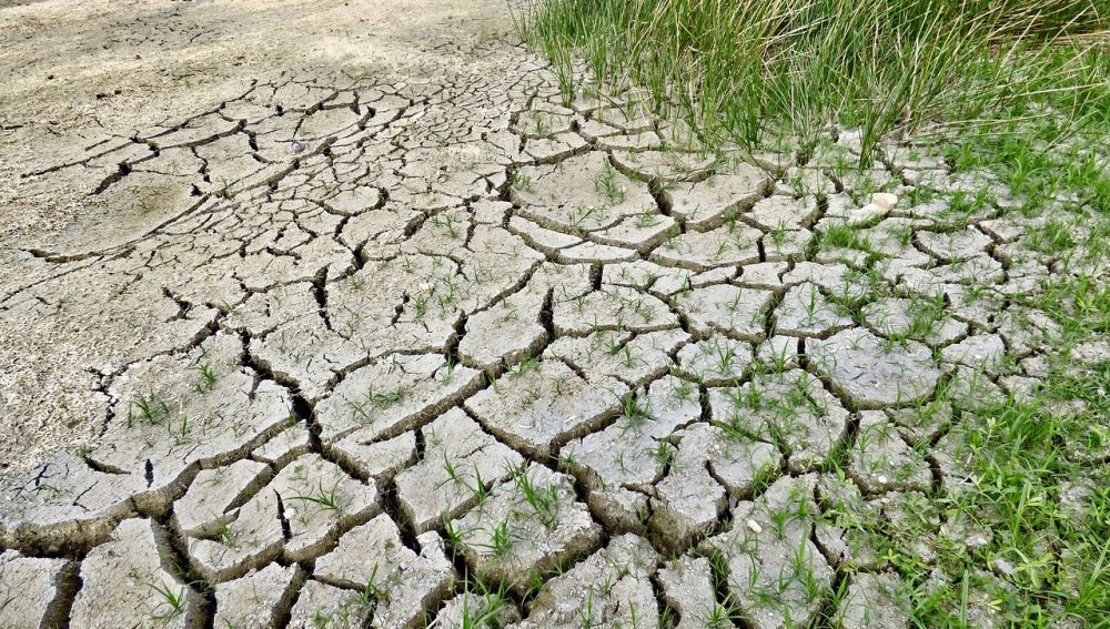 Tierra sequía