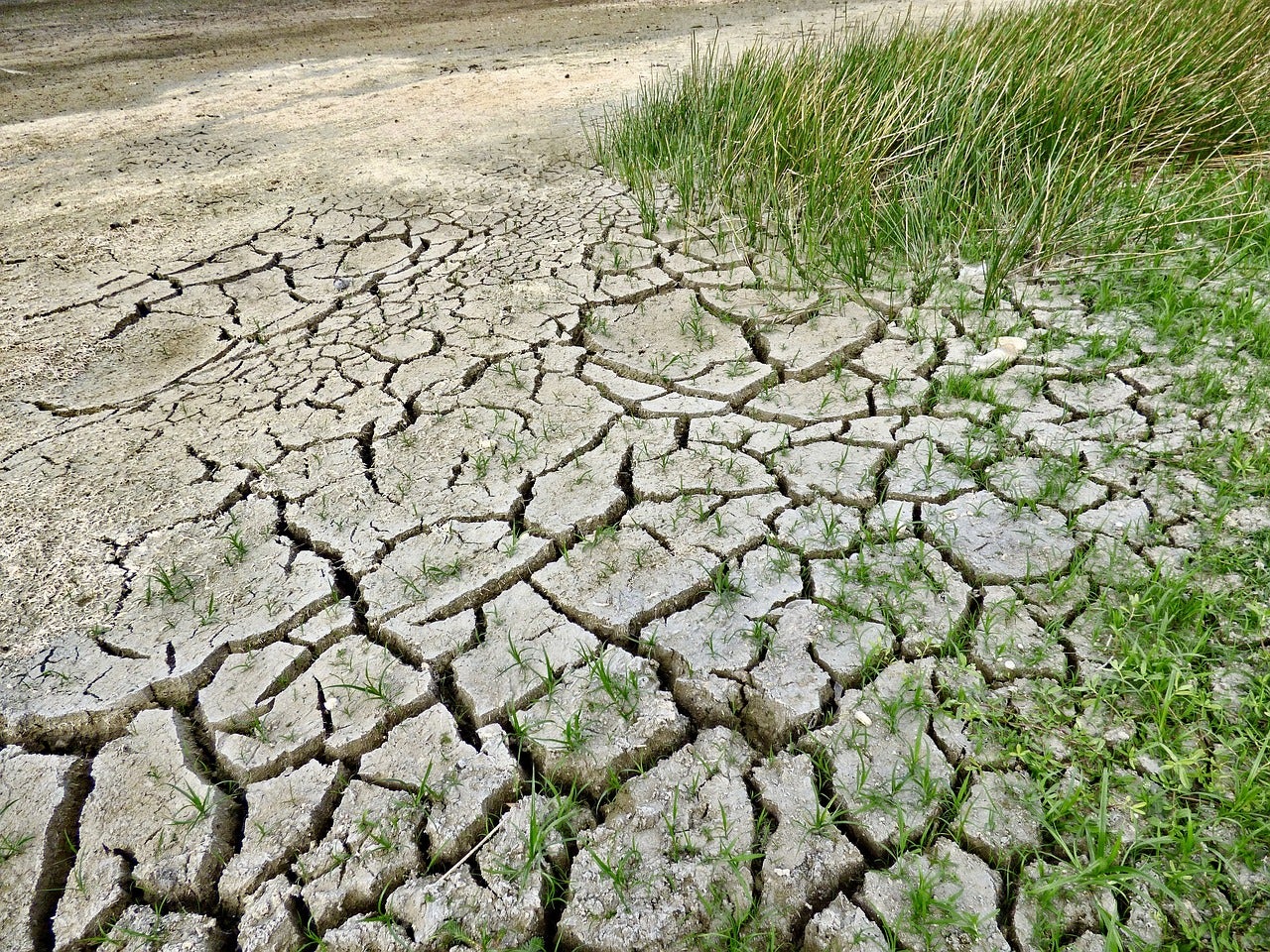 Señales del fin del mundo: ¿Cuánto se puede aguantar una racha seca? Señales del fin del mundo: ¿Cuánto se puede aguantar una racha seca?