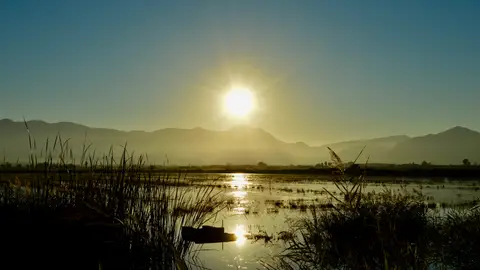 Gloria Castro, Comunidad Valenciana Gloria Castro, Comunidad Valenciana