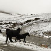 Noticias Fin de Semana (28-10-18) El temporal de nieve y frío complica el tráfico en las principales carreteras de Asturias y Cantabria