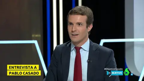 Pablo Casado respalda las declaraciones de Tejerina sobre los niños andaluces: "No lo dice ella, lo dice PISA" Pablo Casado respalda las declaraciones de Tejerina sobre los niños andaluces: "No lo dice ella, lo dice PISA"