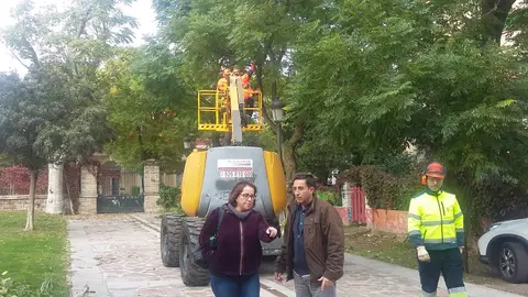 La campaña de poda se ha iniciado en Ciudad Real La campaña de poda se ha iniciado en Ciudad Real