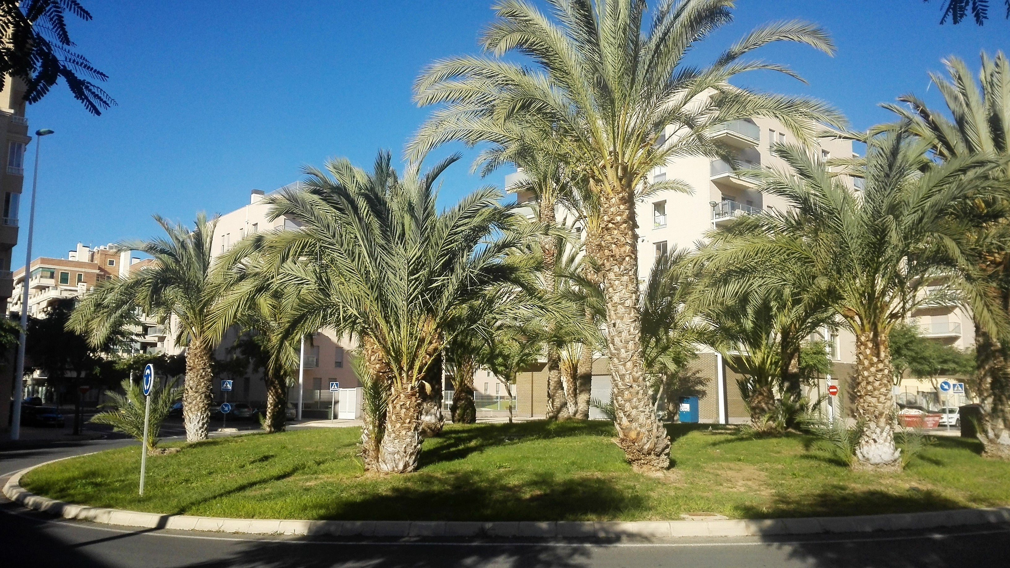 La semana comienza soleada y primaveral; acabará con temperaturas más frescas La semana comienza soleada y primaveral; acabará con temperaturas más frescas