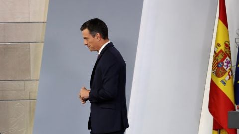 Pedro S&aacute;nchez