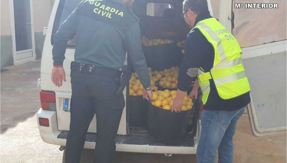Agentes de la Guardia Civil de Alicante junto a parte de los limones robados